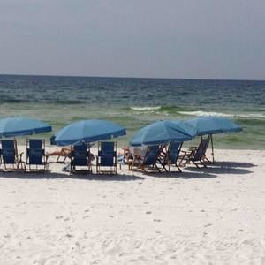 Meet your Posher, Ann